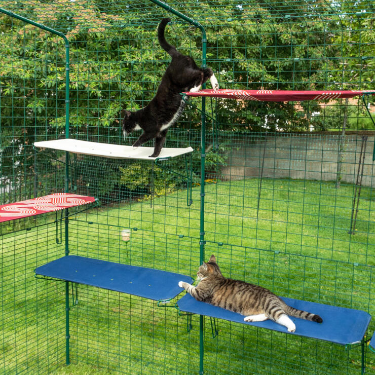 Cat climbing on Omlet Fabric Outdoor Cat Shelves in a Outdoor Catio in the garden