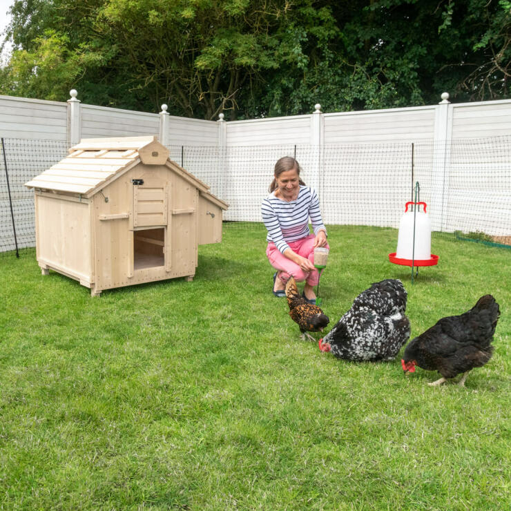 Lenham Wooden Chicken Coop, Lady and 3 chickens