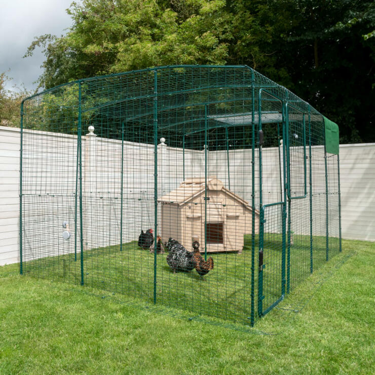 Posizionate il pollaio Lenham in un recinto Walk in  o in un'area recintata lasciando alle galline un posto sicuro dove rientrare la sera.