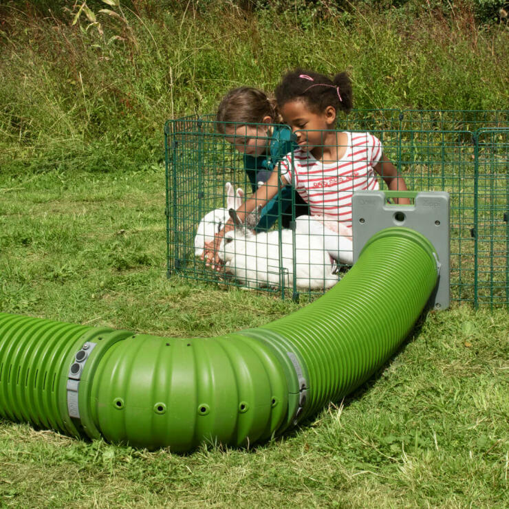 Enfants jouant avec des lapins dans un parc pour lapins Omlet Zippi auquel est relié un tunnel Omlet Zippi 
