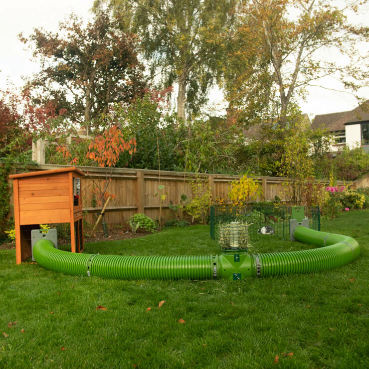 Rabbit hutch connected to Zippi rabbit playpen with Omlet Zippi tunnel
