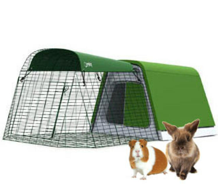Gabbie per conigli, recinzioni per conigli, tunnel per conigli