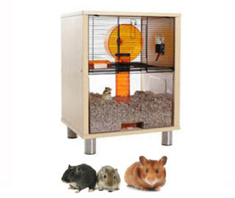 Qute Hamster Cage
