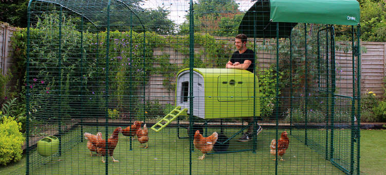 An Eglu Cube MK1 chicken coop inside a Walk In Chicken Run