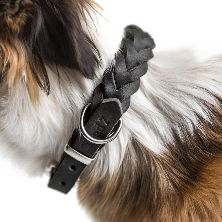 Cloud7 Leather Luxury Central park Black Dog Collar