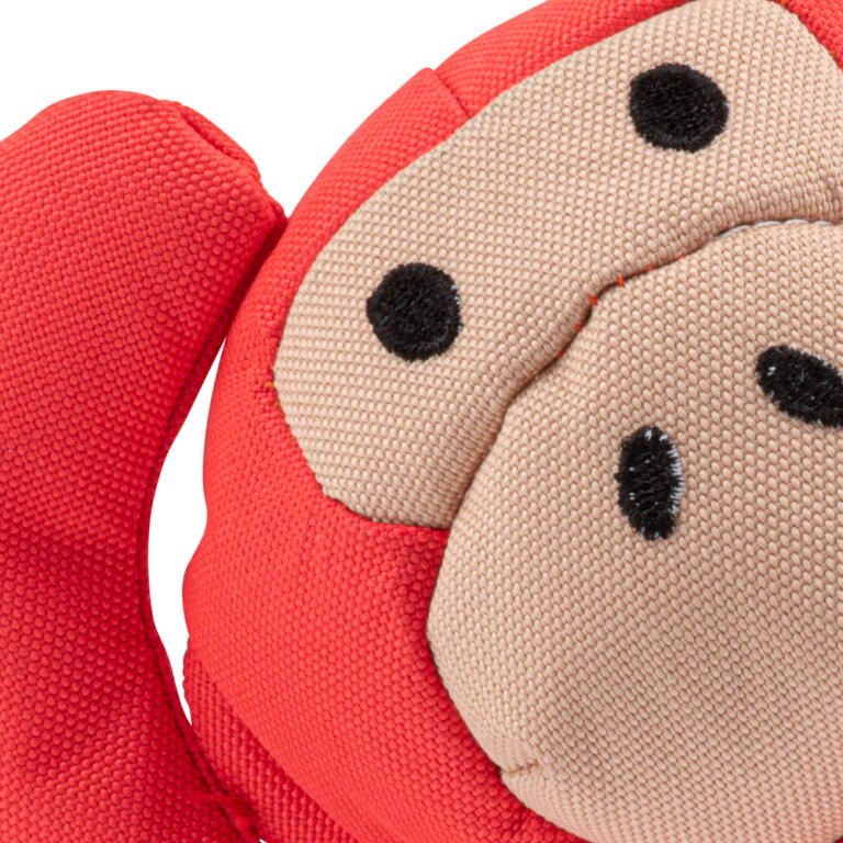 Close up of red monkey dog toy