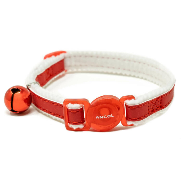 A red dog lead