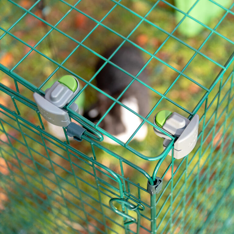 closed zippi locks on a rabbit run