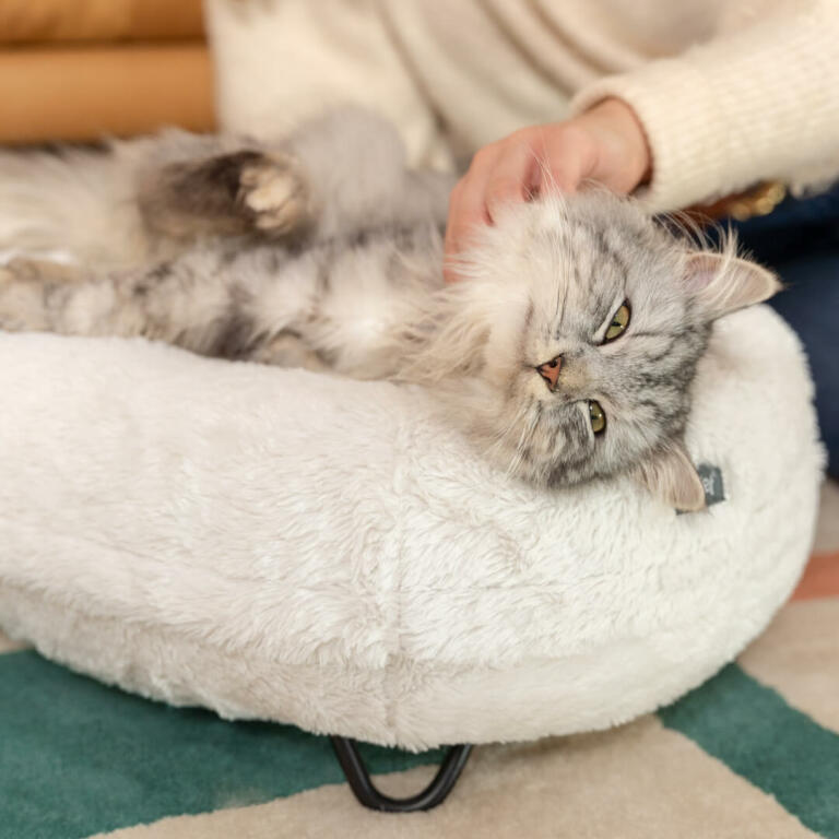 Chat couché et se faisant chatouiller sur Omlet Maya donut lit pour chat dans Snowboule pieds en épingle à cheveux blancs et noirs
