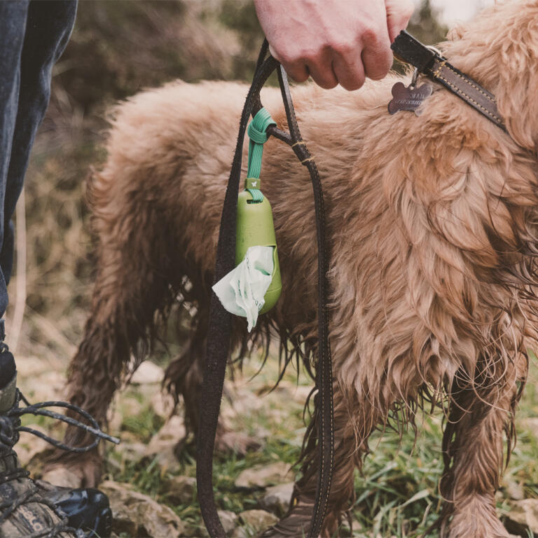 Beco Dog Poop Bags Dispenser attached to dog lead