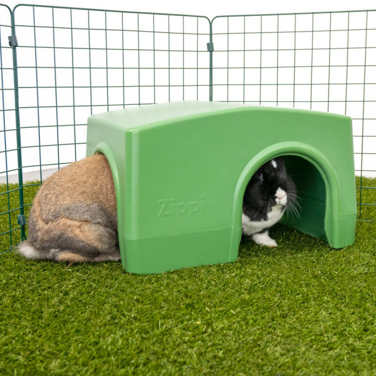 Zippi rifugio coniglio verde