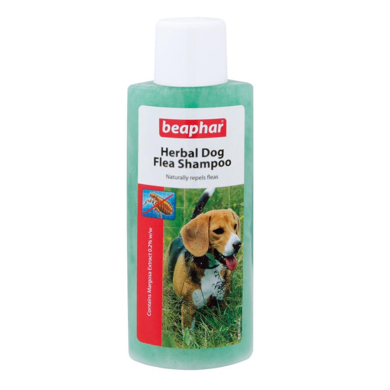 Shampooing anti-puces pour chiens à base de plantes beaphar 250ml