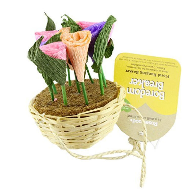 Boredom breaker floral hanging basket