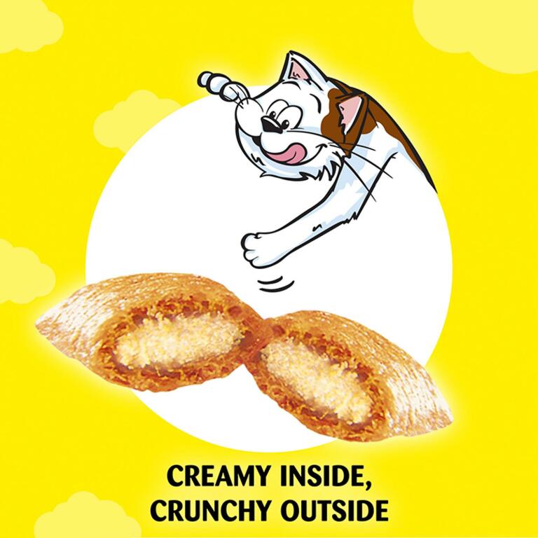 creamy inside, crunchy outside dreamies cat treats