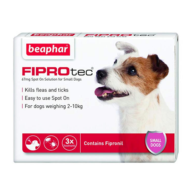 Fiprotec spot on, traitement contre les puces et les tiques pour petits chiens
