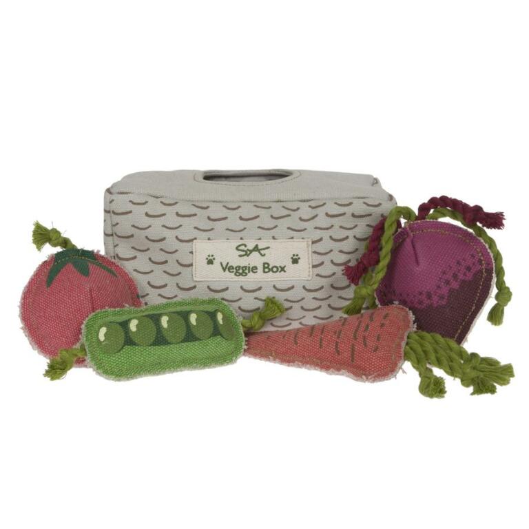 Un set de jouets pour chiens en forme de légumes - tomate, cosse de pois, carotte et navet