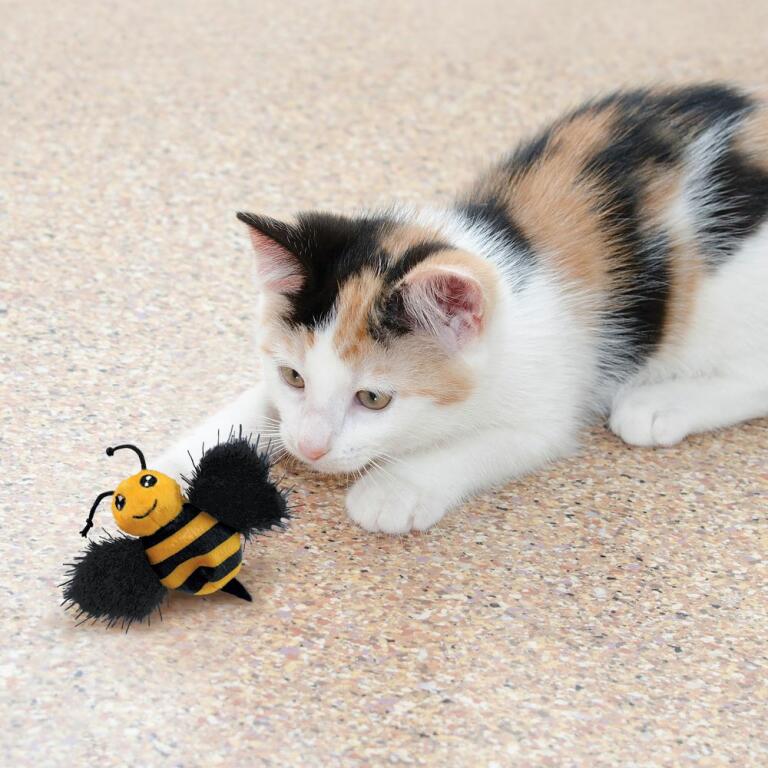 En kat, der leger med kong bi-legetøjet