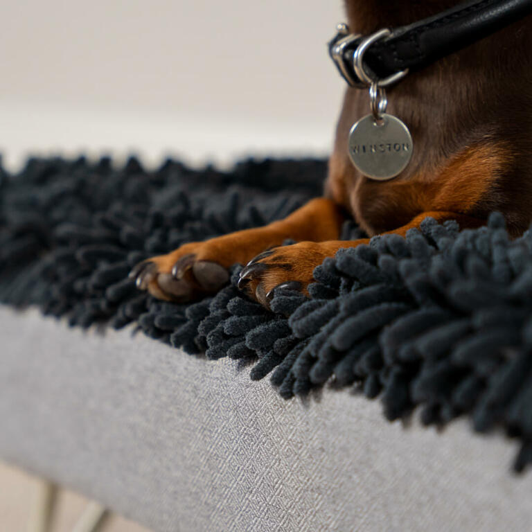 Teckel in een grijze microvezel topper voor het Topology wasbaar hondenbed