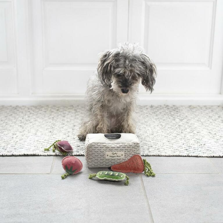 Een hond kijkt naar een stapel speelGoed in de vorm van groenten