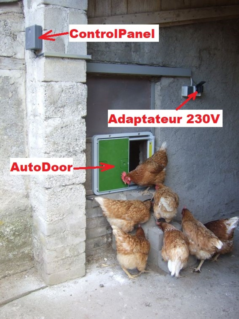 Adapter mit einem Autodoor und vielen hühnern