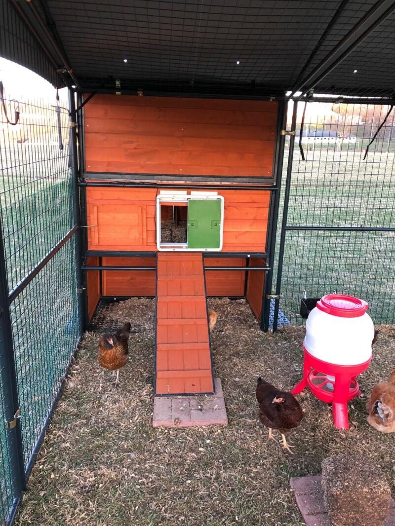 A green automatic chicken coop door installed on a wooden coop
