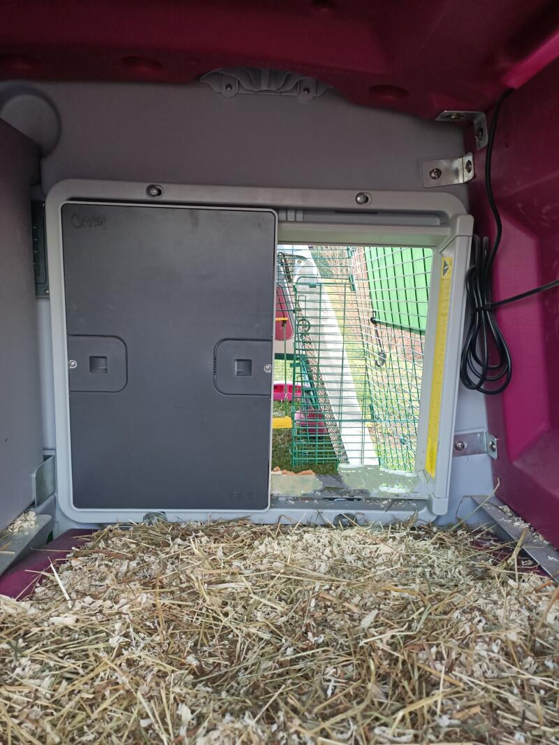 A grey automatic door opener mounted inside a pink plastic chicken coop
