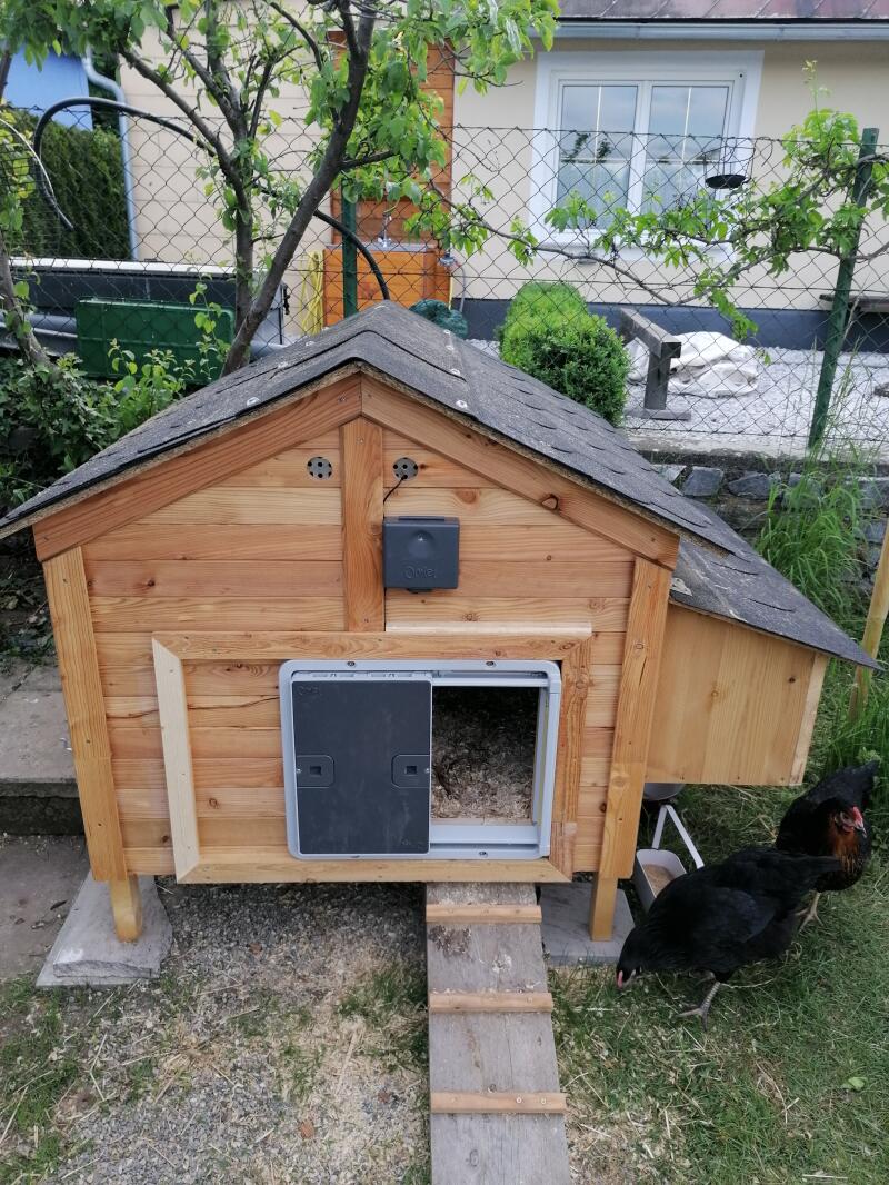 An automatic door opener mounted on a wooden chicken coop