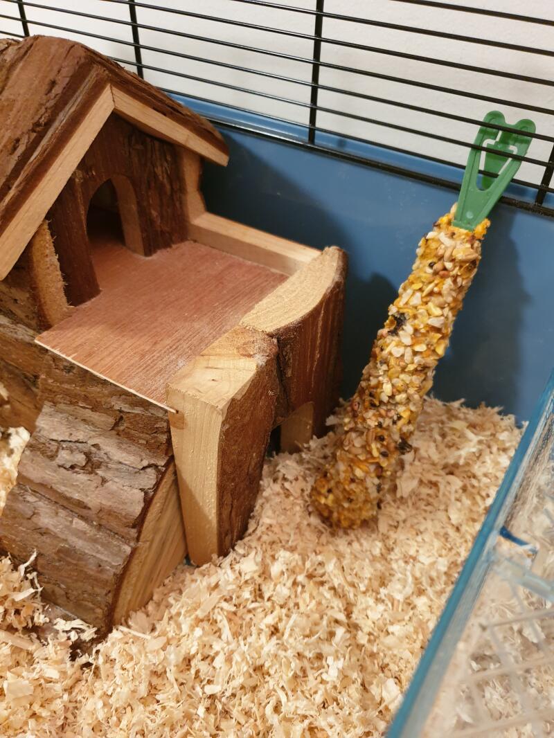 a hamster cage with a wooden den and a chew toy