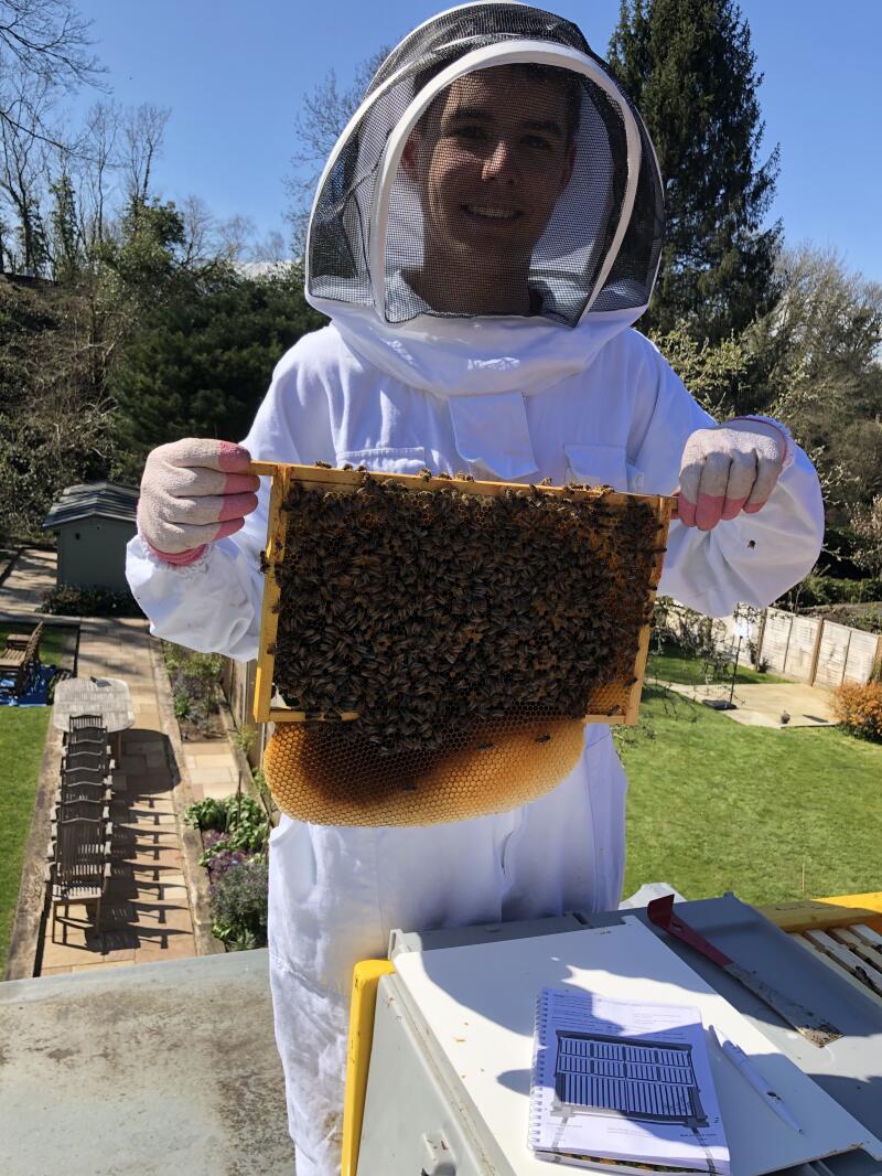 Beekeeper with record book