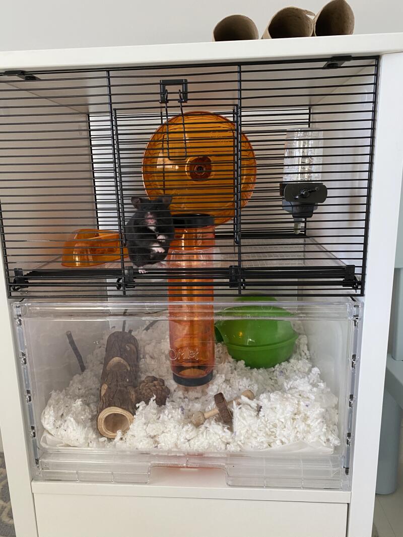 Omlet White Qute Hamster Cage with storage