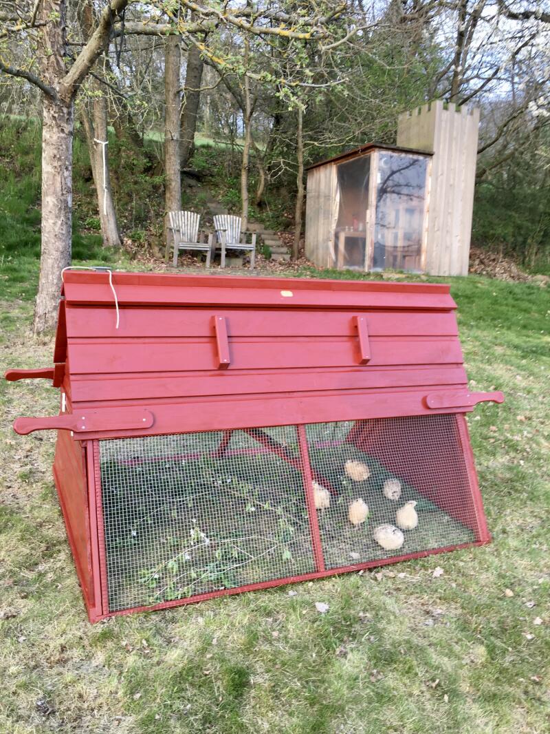 A wooden chicken coop painted in red
