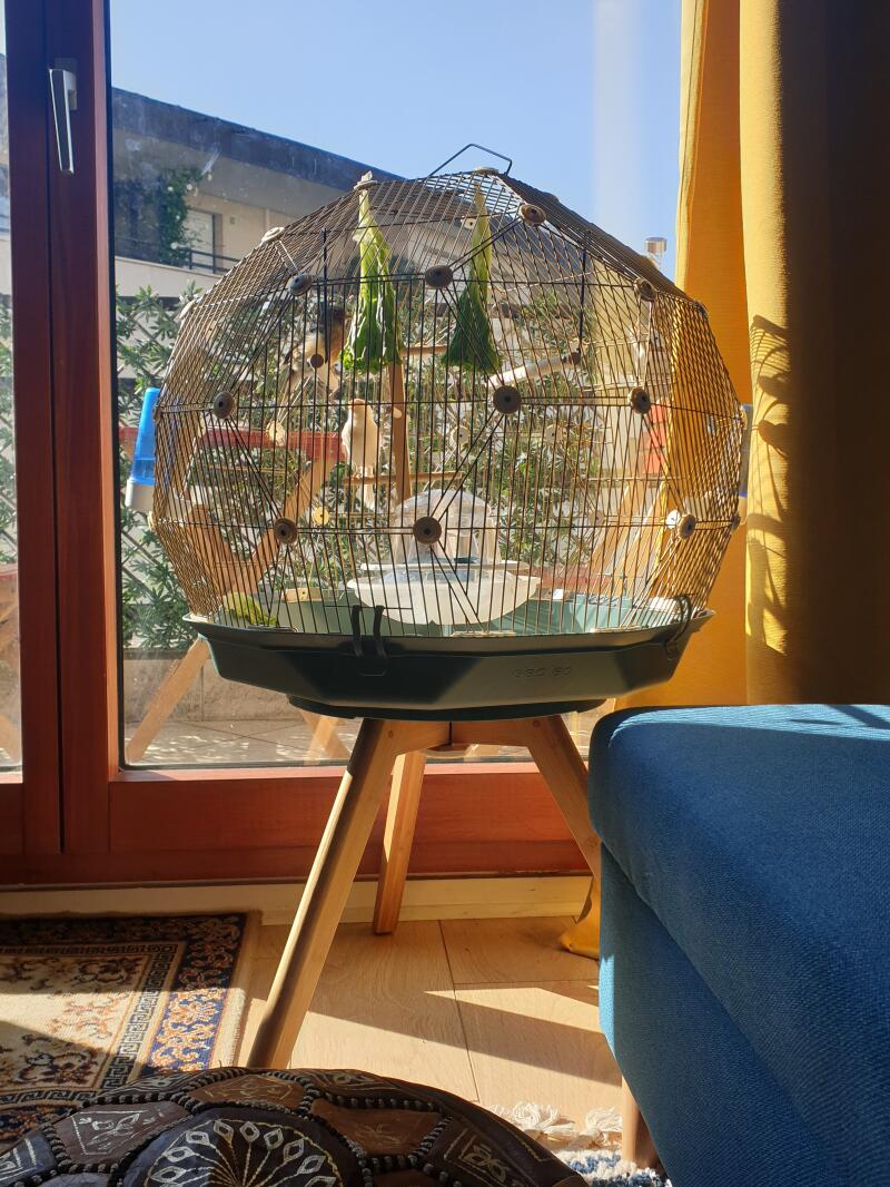 Klatka dla ptaków na małym statywie, nasączona słońcem wpadającym przez okno