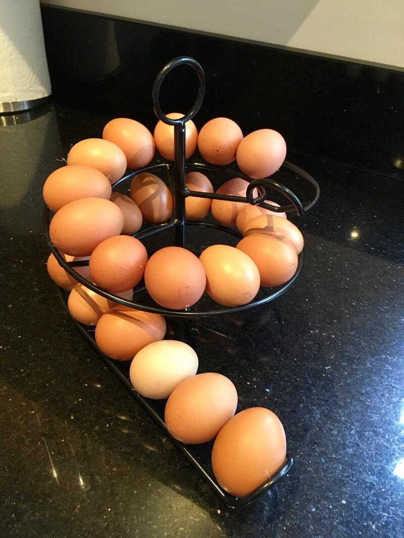 Deilige egg fra jentene mine