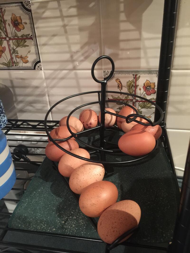Eieren in Omlet black egg skelter