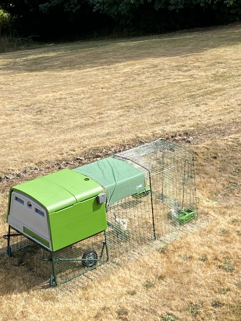 A photo of a green chicken coop and run taken from above