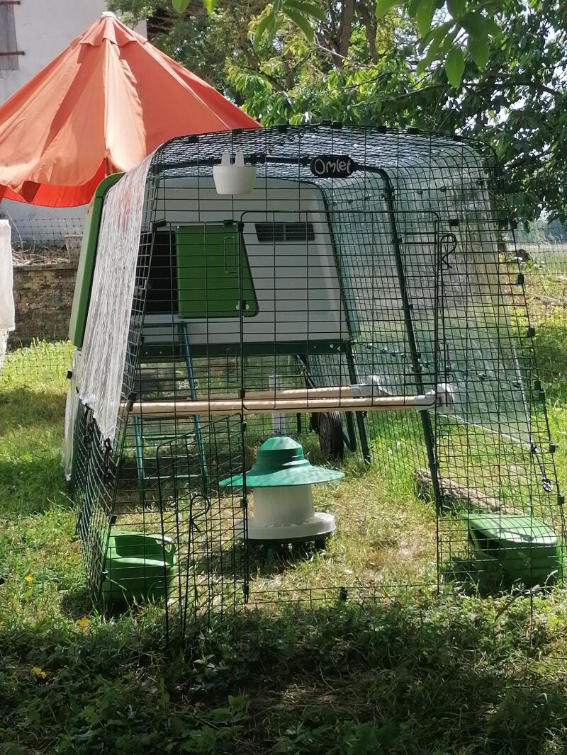 A green chicken coop with a 3 metre run in a garden