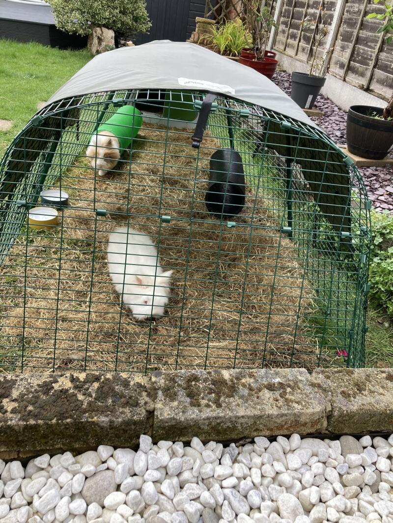 A run extension added to a rabbit run connected to a rabbit hutch