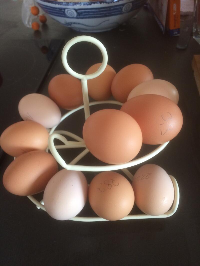 Some beautiful eggs on an egg skelter