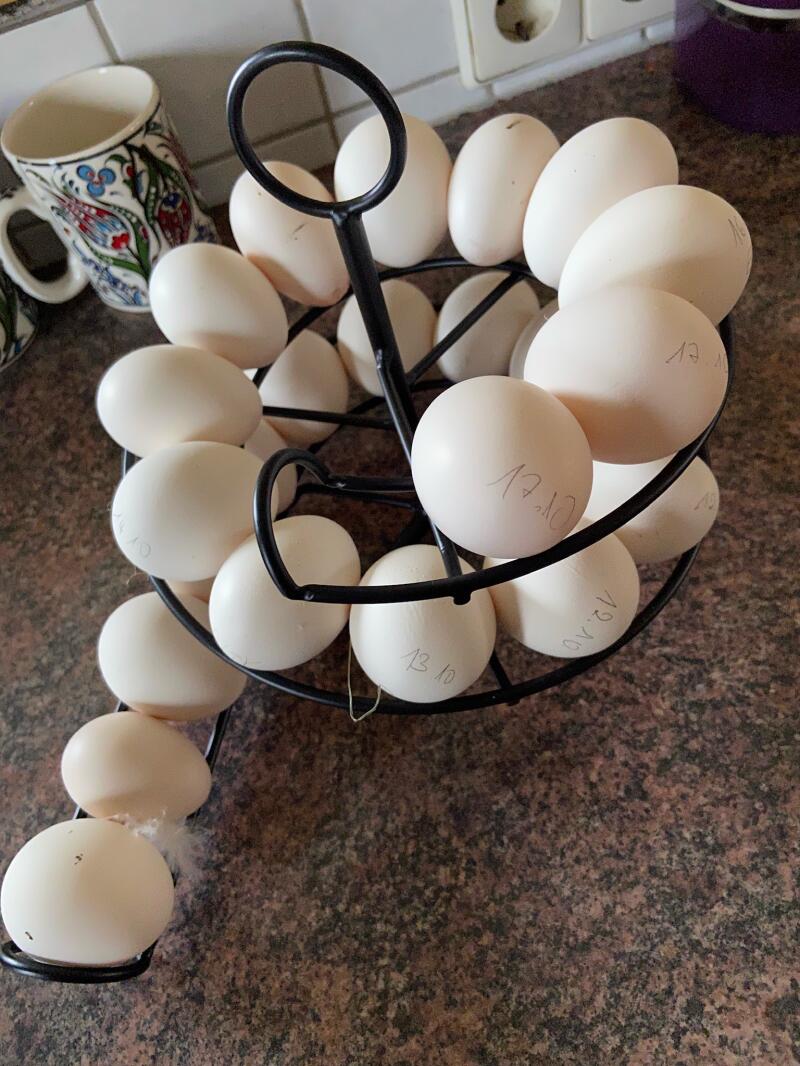 Svart äggskål med ägg