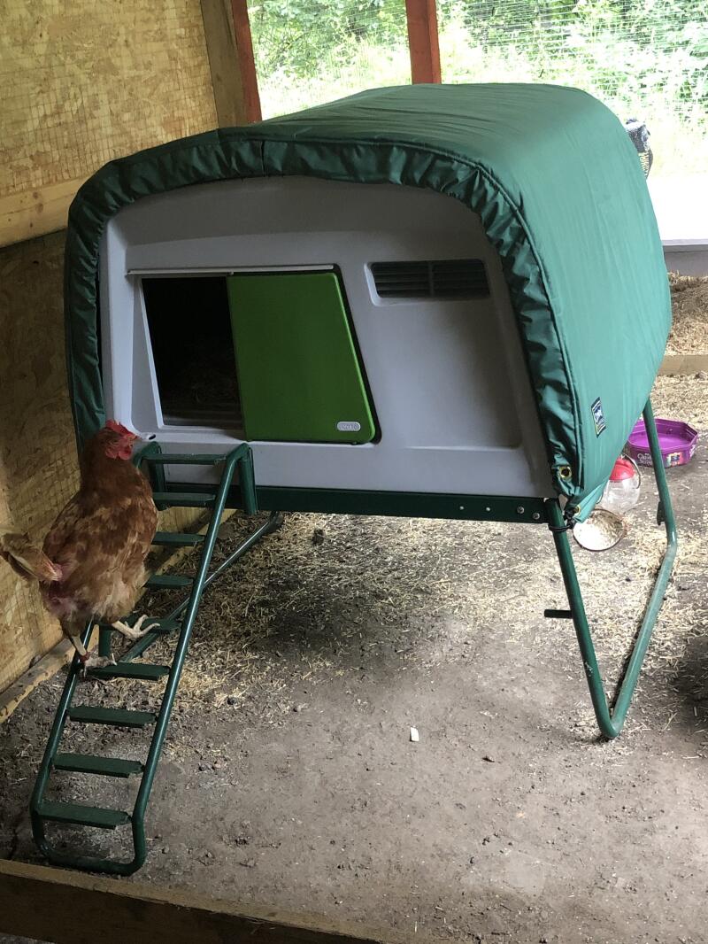A chicken coop covered by an extreme temperature jacket