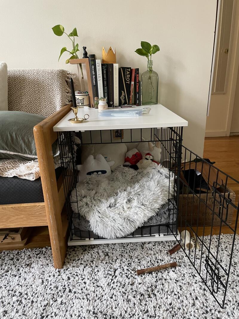A dog crate in a room