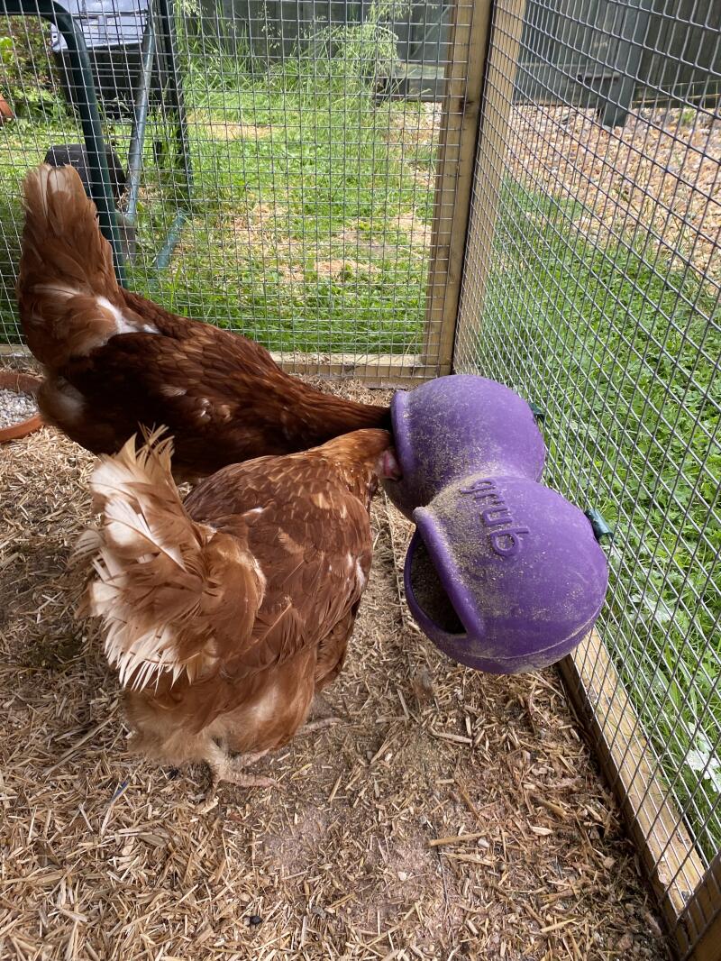 Me encantan, son perfectas para mantener la comida seca y para que mis 4 pollos tengan acceso a la comida y al agua al mismo tiempo. 