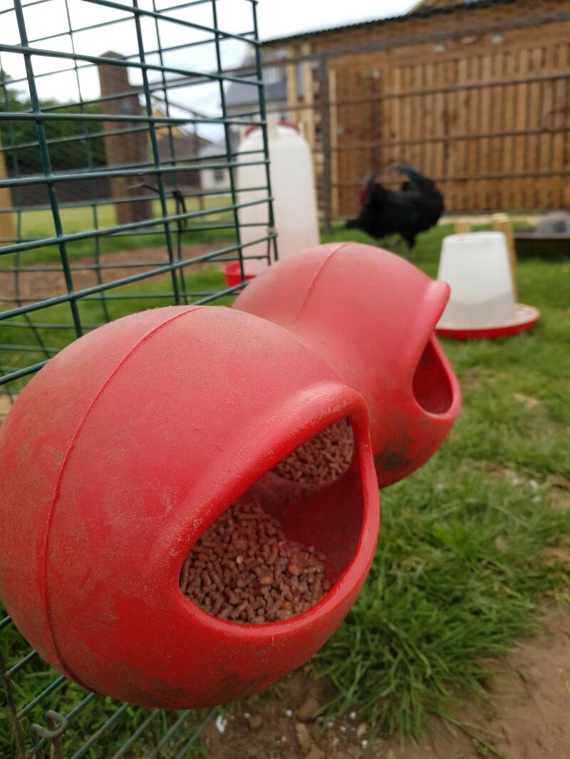 Absolutely love my grub feeder - very practical and lasts for years!