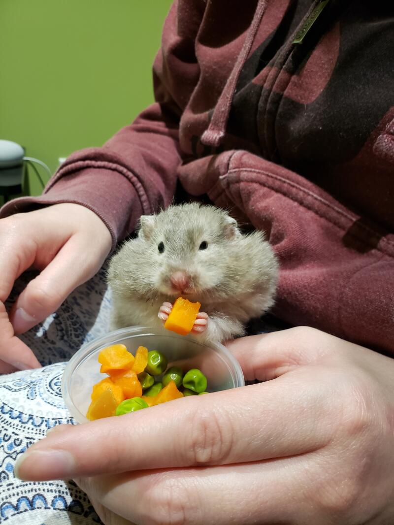 Enjoying her peas and carrots