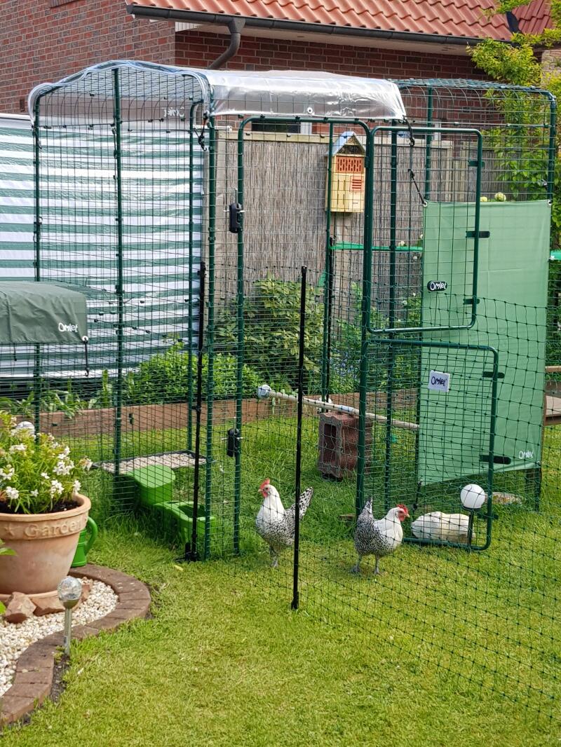 Wybieg z kurczakami w środku, ogrodzenie i karmniki dla kurcząt