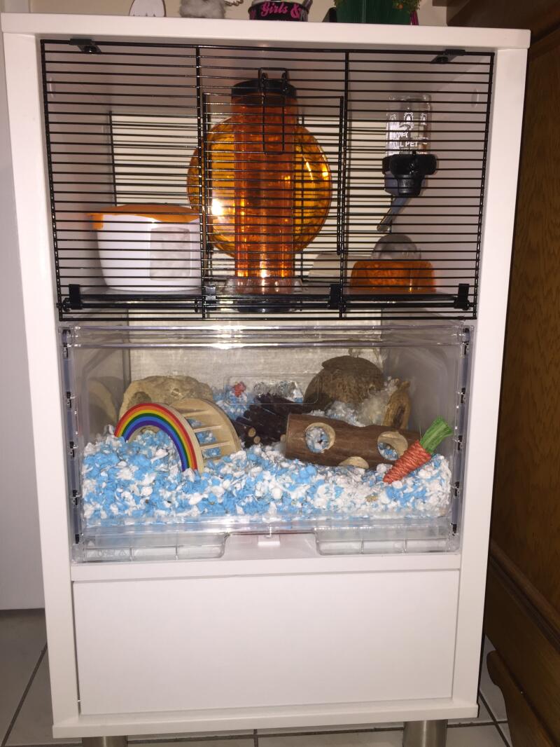 Een Qute hamsterkooi met veel speelGoed en accessoires erin
