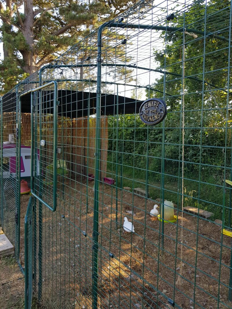 En stor løbegård med høns inde i en have