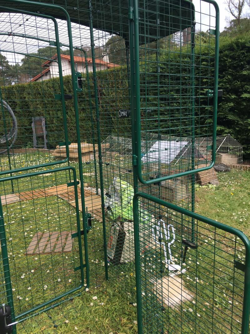 Otwarte drzwi zieloneGo wózka z pokrywą w ogrodzie