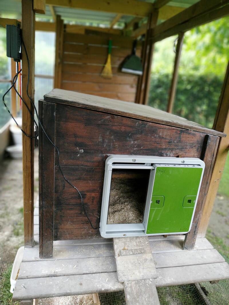 Omlet Green Automatic Chicken Coop Door attached to Wooden Chicken Coop