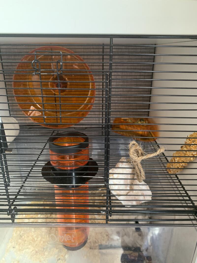 Cage now complete with new wheel